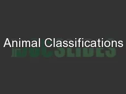 Animal Classifications