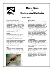 capped Chickadee