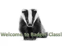 Welcome to Badger Class!