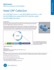 Yeast ORF Collection