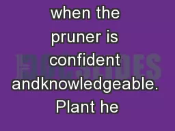 Pruning is fun when the pruner is confident andknowledgeable. Plant he