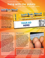 Nutrition FactsServing Size 1 egg (50g)Servings 12Vitamin A 6%