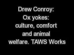 Drew Conroy: Ox yokes: culture, comfort and animal welfare. TAWS Works