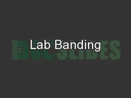 Lab Banding