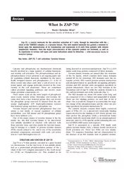 WhatIsZAP-70?MarieChristineBeImmunologyLaboratory,FacultyofMedicine&CH