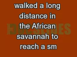 Zippy had walked a long distance in the African savannah to reach a sm