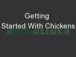 Getting Started With Chickens