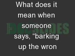 What does it mean when someone says, “barking up the wron