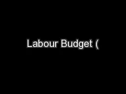 Labour Budget (