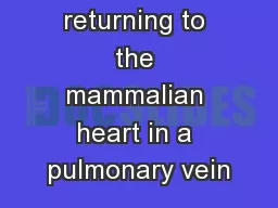 Blood returning to the mammalian heart in a pulmonary vein