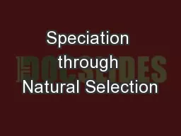 Speciation through Natural Selection
