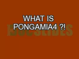 WHAT IS PONGAMIA4 ?!