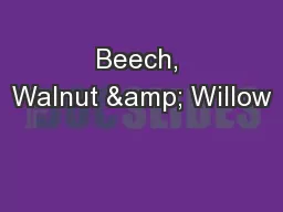 Beech, Walnut & Willow