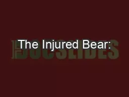 The Injured Bear: