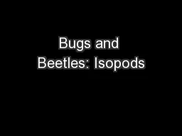 Bugs and Beetles: Isopods