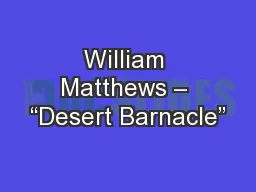 William Matthews – “Desert Barnacle”
