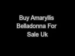 Buy Amaryllis Belladonna For Sale Uk