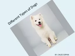 Different Types of Dogs