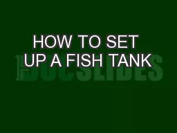 HOW TO SET UP A FISH TANK