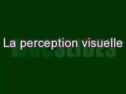 La perception visuelle
