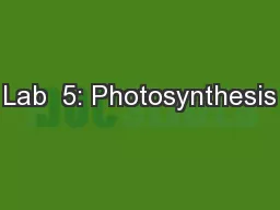Lab  5: Photosynthesis