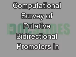 Computational Survey of Putative Bidirectional Promoters in