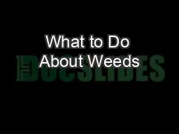 What to Do About Weeds