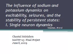 The influence of sodium and potassium dynamics on excitabil