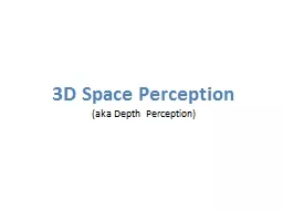 3D Space Perception