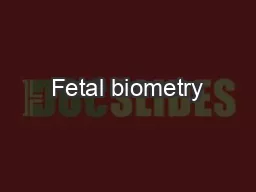 Fetal biometry