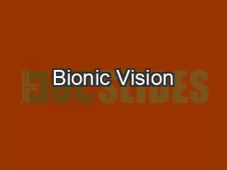 Bionic Vision