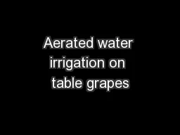 Aerated water irrigation on table grapes
