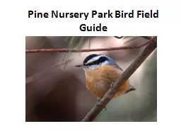 Pine Nursery Park Bird Field Guide