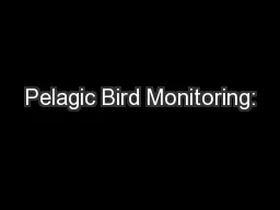 Pelagic Bird Monitoring: