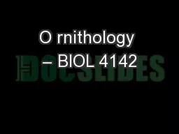O rnithology – BIOL 4142