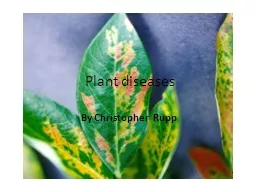 Plant diseases