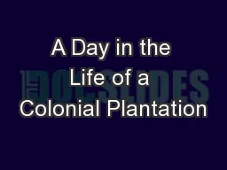 A Day in the Life of a Colonial Plantation