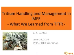 Tritium Handling and Management in MFE