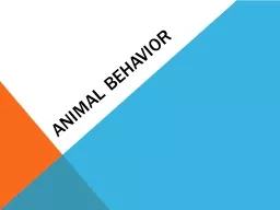 ANIMAL BEHAVIOR