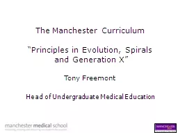 The Manchester Curriculum