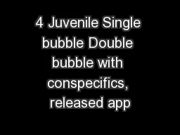 4 Juvenile Single bubble Double bubble with conspecifics, released app