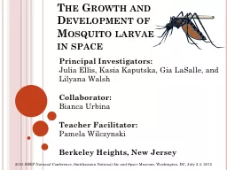The Growth and Development of  Mosquito larvae