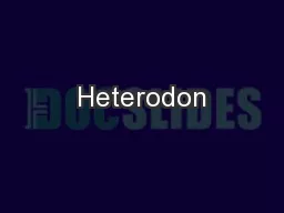 Heterodon