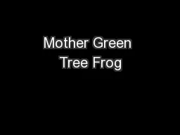 Mother Green Tree Frog