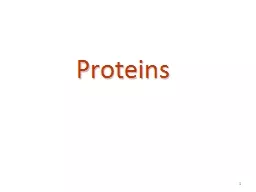 1 Proteins