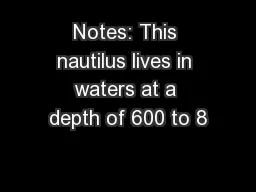 Notes: This nautilus lives in waters at a depth of 600 to 8