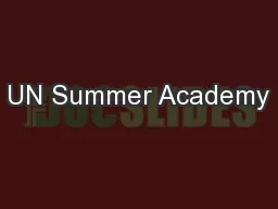 UN Summer Academy