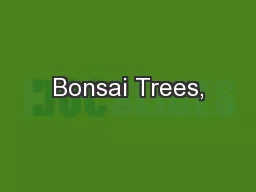 Bonsai Trees,