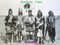 Shoshone Tribe!