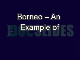 Borneo – An Example of
